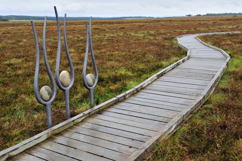 Sculptures and raised walkway