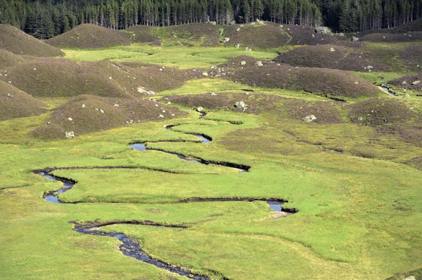 Glacial moraines and meanders on the Fee burn