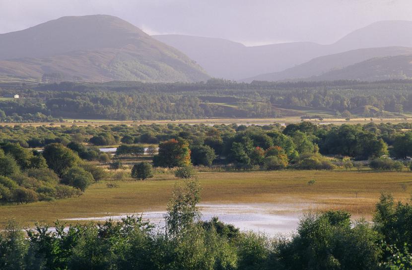 Insh Marshes, surrounded by woodland, with hills in the distance.