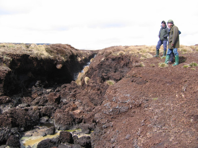 3 people standing looking at an eroded peat gully. 