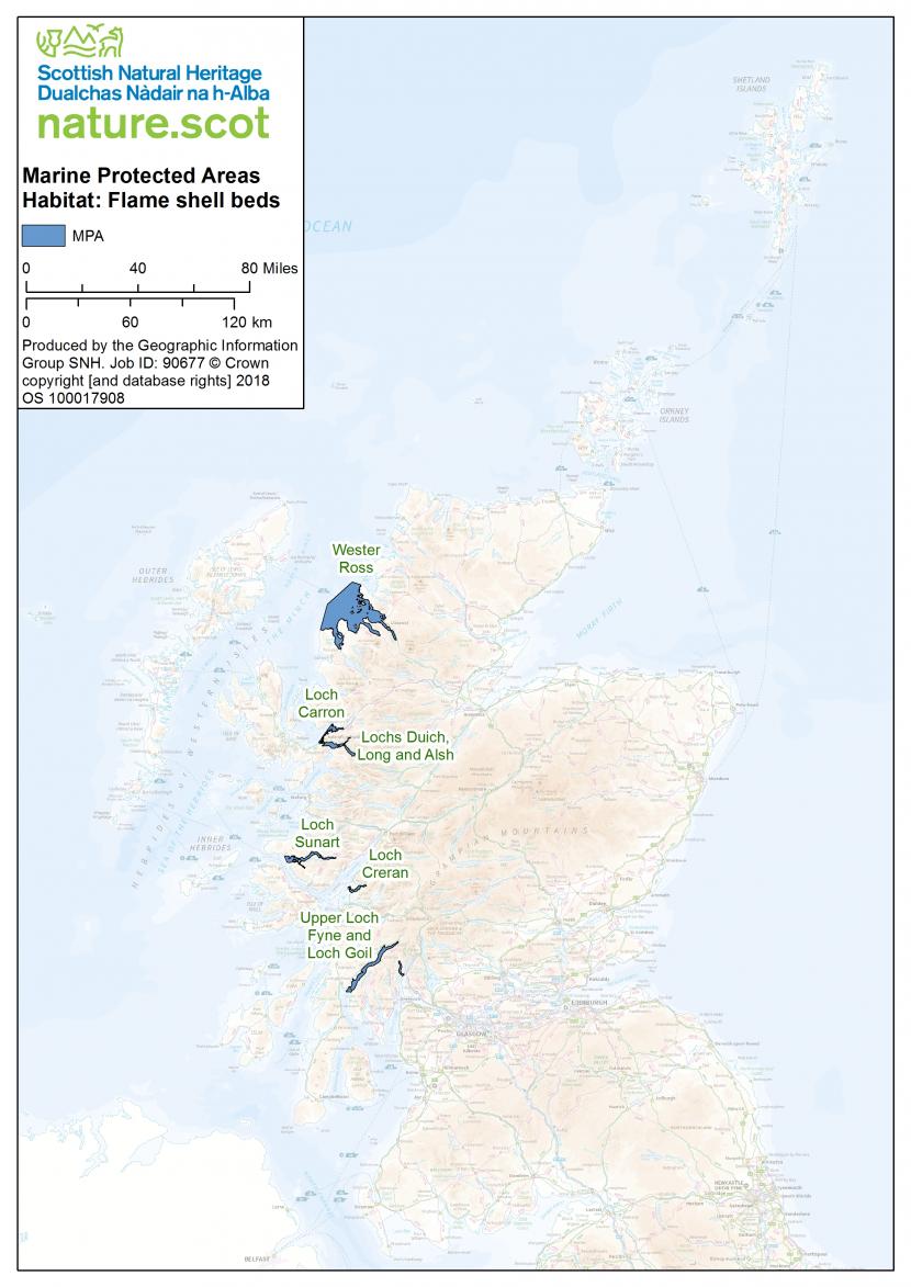 Map of flame shell beds in the UK
