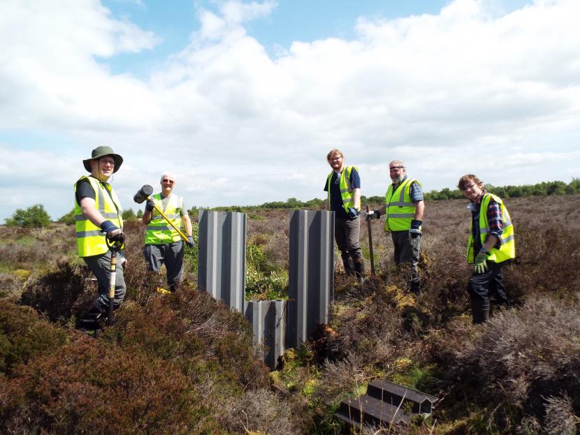 Group of volunteers ditch blocking at Langlands. 