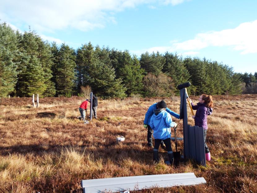 Volunteers ditch blocking at Black Moss. ©David Hill/Peatland ACTION Butterfly Conservation Scotland