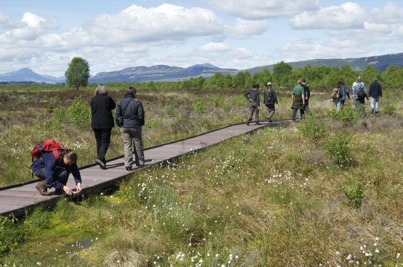 Flanders Moss NNR a lowland raised bog.