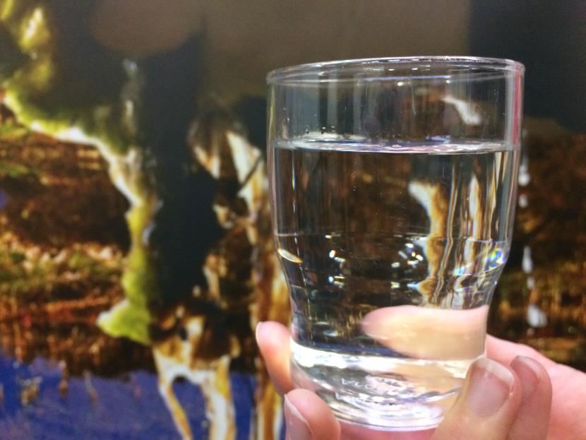 Glass of water with sphagnum in the background. Credit Fiona Mann/SNH. For information on reproduction rights contact the Scottish Natural Heritage Image Library on Tel. 01738 444177 or www.nature.scot