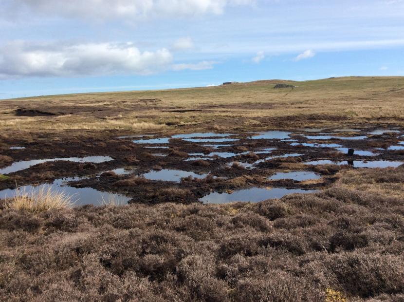 Restored area with bog pools and sphagnum reintroduced. Sandy Loch (Shetland). ©Sue White/Peatland ACTION. Info on reproduction rights contact the Scottish Natural Heritage Image Library on Tel. 01738 444177 or www.nature.scot 