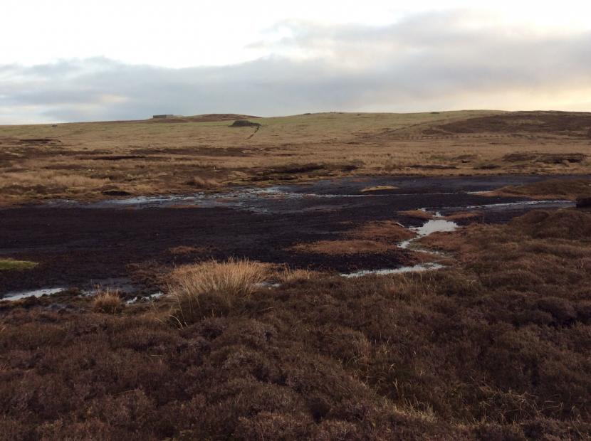 Peat surface devoid of vegetation making it open to erosion. Sandy Loch (Shetland). ©Sue White/Peatland ACTION.  Info on reproduction rights contact the Scottish Natural Heritage Image Library on Tel. 01738 444177 or www.nature.scot 