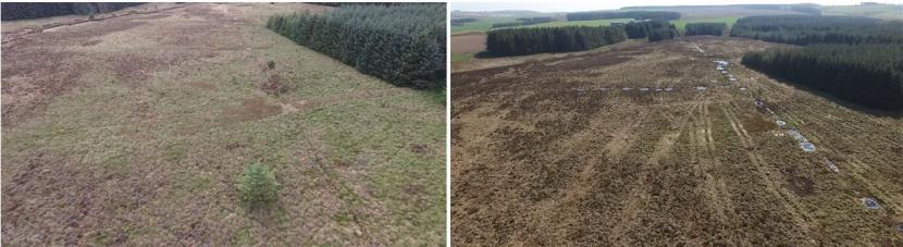 Moss of Kinmundy - Main drain before and after peatland restoration