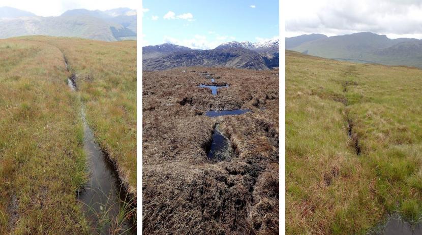 Peatland ACTION - Grips before, during and summer after restoration activity - Innishewan Ford, Loch Lomond & The Trossachs National Park Authority. ©RJCooperLoch Lomond & The Trossachs National Park Authority Peatland ACTION