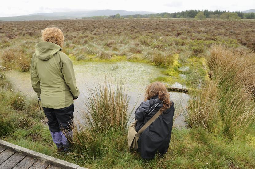 Moine Mhor NNR
