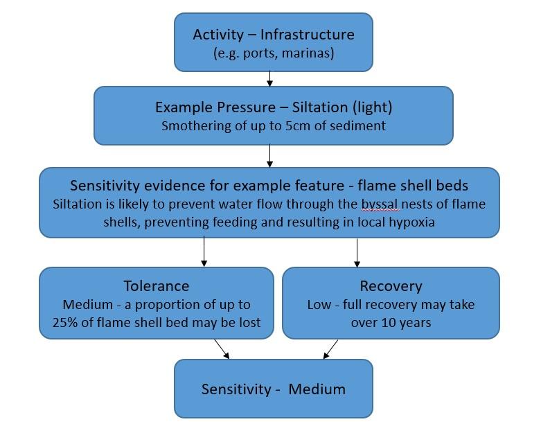 A full description for this image can be found directly below