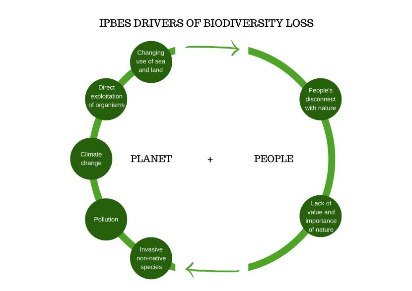 Full description of diagram described next