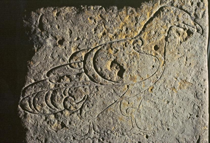 Pictish stone carving of a White-tailed eagle on Orkney