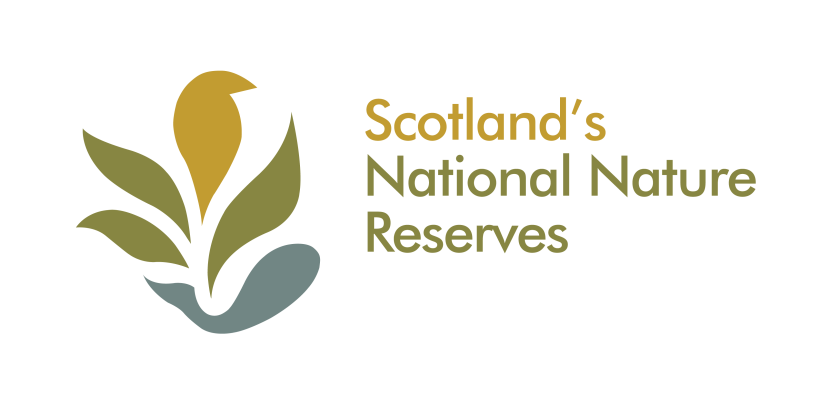 NNR logo - English