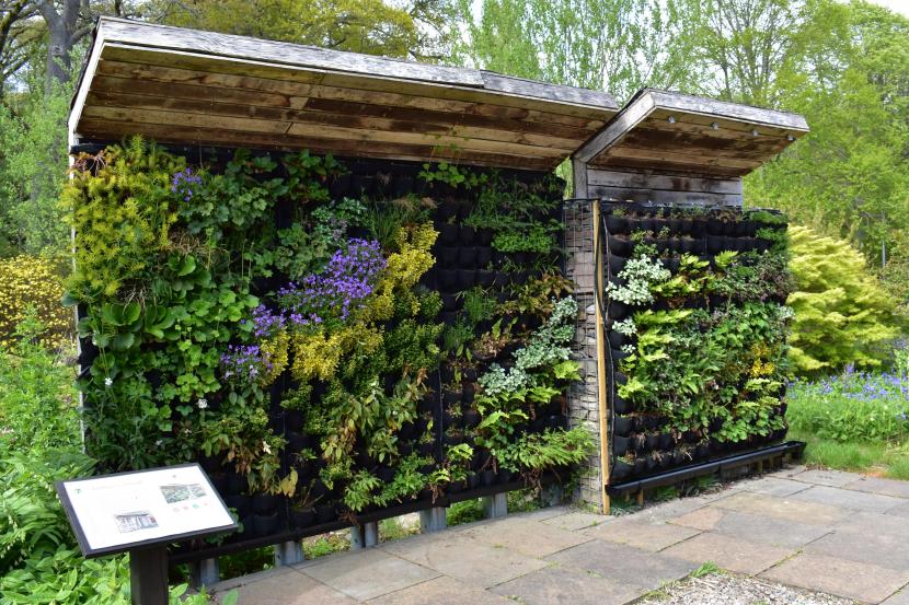 Battleby Living Wall - NatureScot 2019