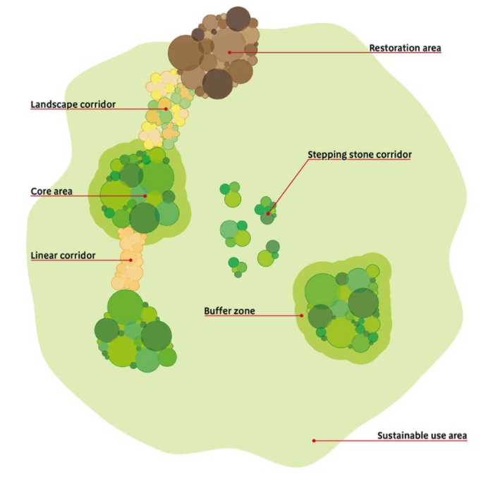 The image shows a simplified landscape with discrete core areas, important for biodiversity, that are isolated from one another. It shows various ways in which the health of these core areas, and so their positive contribution to biodiversity, can be increased. This can be achieved through two main means; improvement of the broader landscape within which they sit so it is more hospitable towards biodiversity and also, through strategic connections between these core areas for biodiversity. These come in t