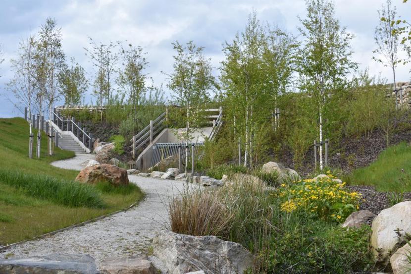 path leading to steps bordered by grass verge, wildflower planting, water elements and trees