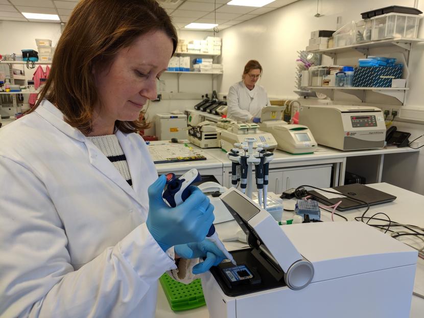 Aichi report - RBGE Staff working in the laboratory © RBGE 2021