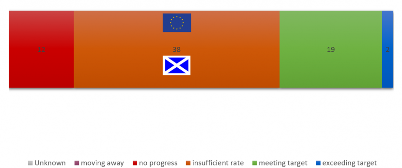 Global progress against Target 9 Showing number of countries attaining each status and progress of Scotland and EU