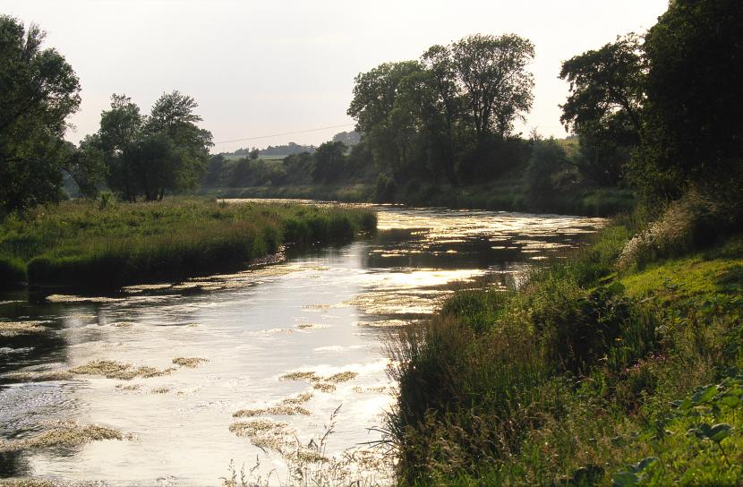 River Tweed