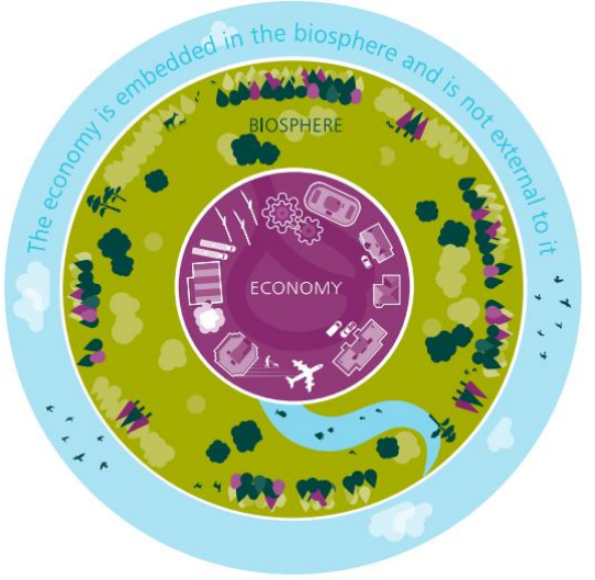 Science newsletter - Biosphere and economy image