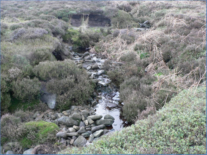 Figure 4 - Burning buffer zones should be established beside waterbodies