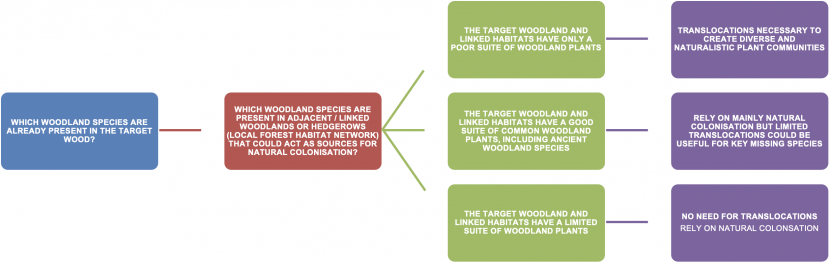 A decision tree to help woodland managers decide whether woodland plant translocations are appropriate for their woodland