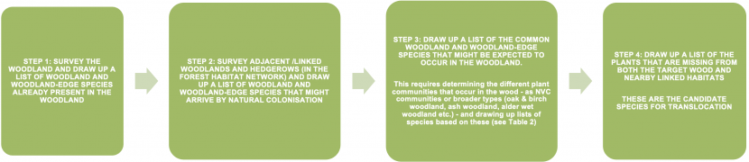 A flow chart that sets out the steps in assessing the candidate woodland plant species for translocation