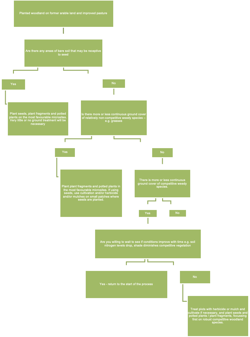 A flow chart for evaluating the best methods for establishing plants