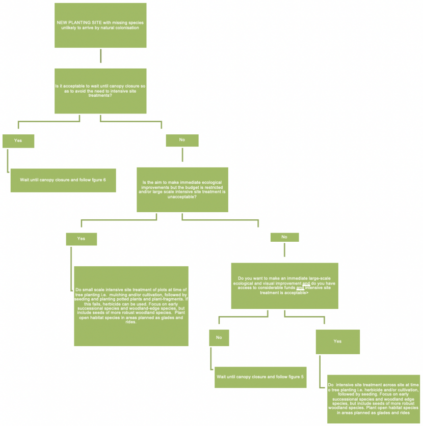 A flow chart for evaluating the best general approach to plant translocations