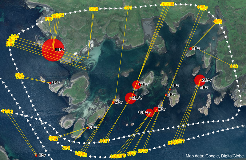 Example of survey track and aerial photograph locations