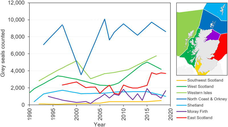 Line graph displaying grey seal counts in seal management areas