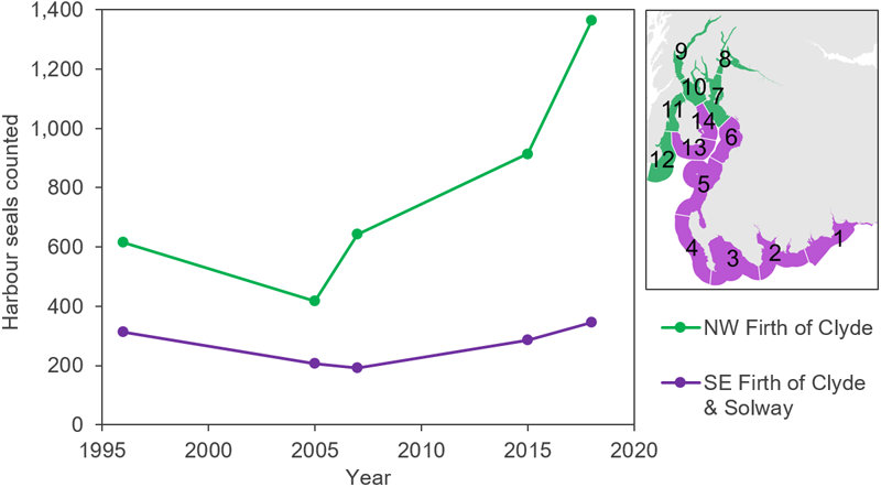Line graph displaying regional harbour seal counts