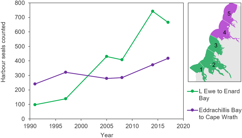 Line graph displaying regional harbour seal counts