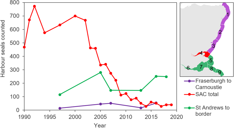 Line graph displaying regional harbour seal counts