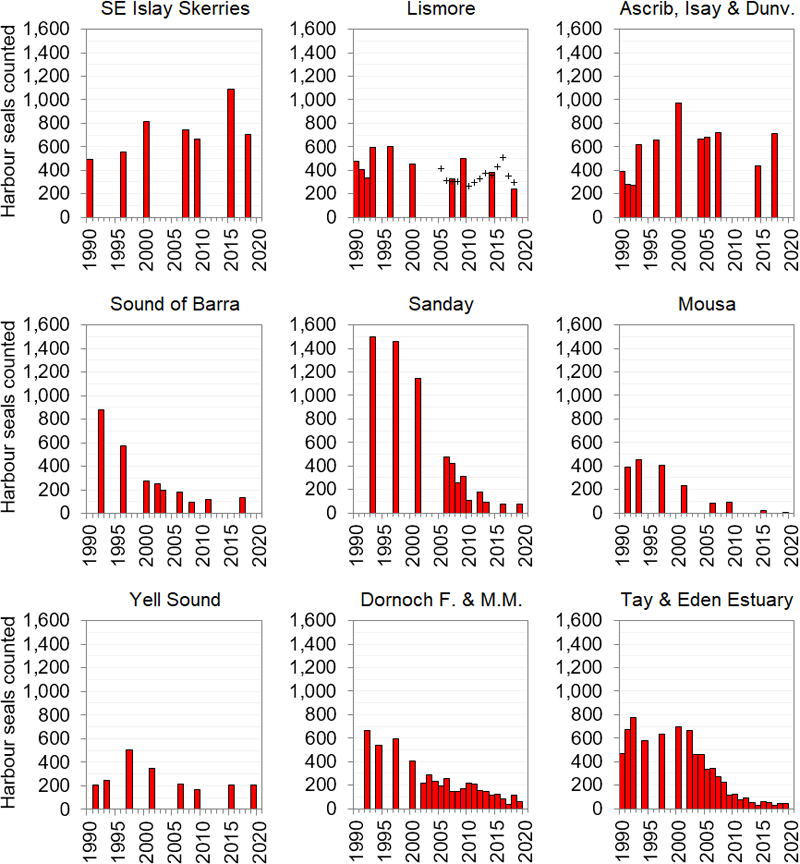 Bar graphs showing harbour seal counts in Special Areas of Conservation
