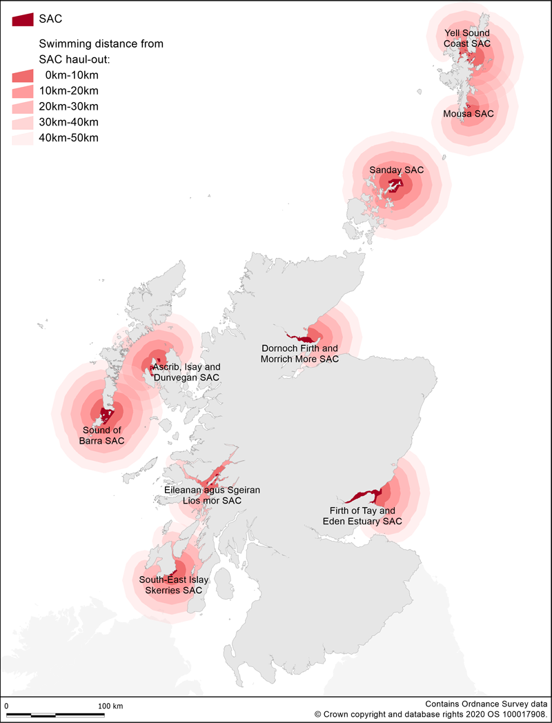 Map showing Special Areas of Conservation for harbour seals in Scotland