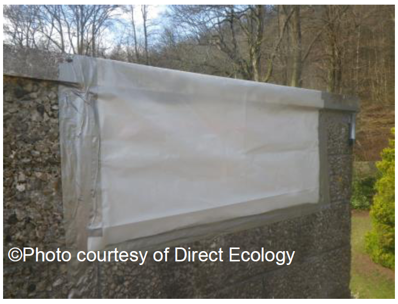 Example of bat flap excluder