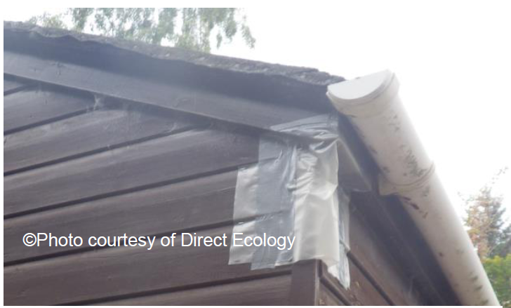 Bat excluder designed to fit corners