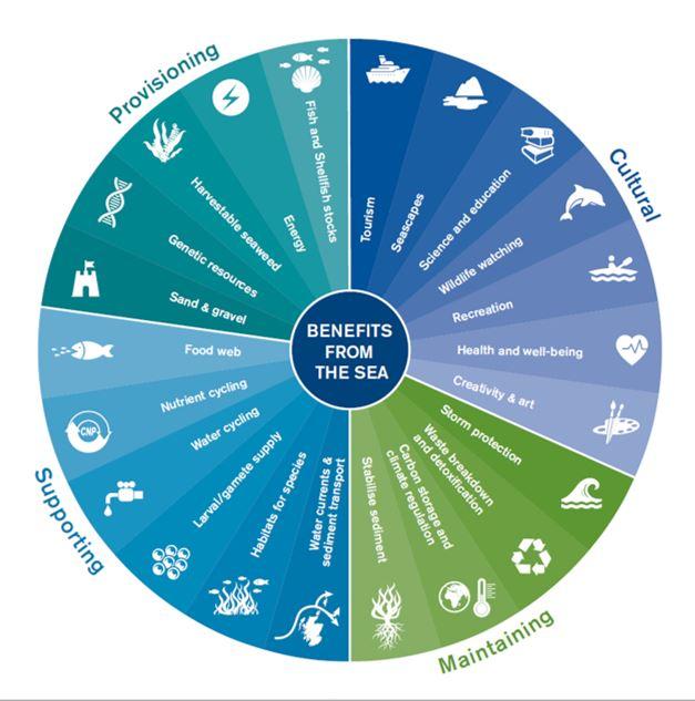 The full description for accessibility is linked below this image.