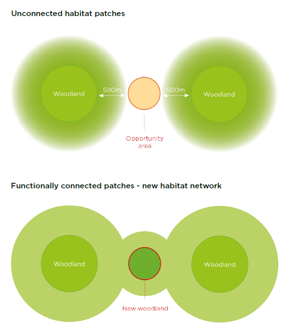 The full description for accessibility is linked below this image.