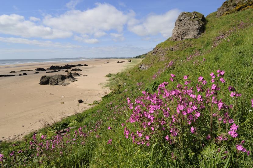 Coastal cliffs