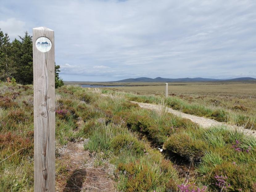 Signpost beside a path, with heather in the foreground and hills in the distance.