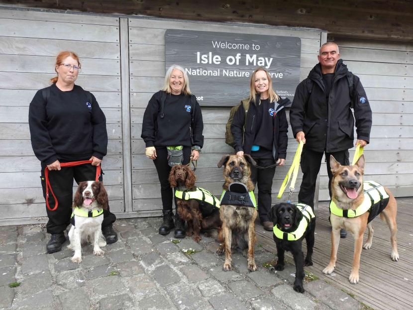 A group of scent Dogs and their owners