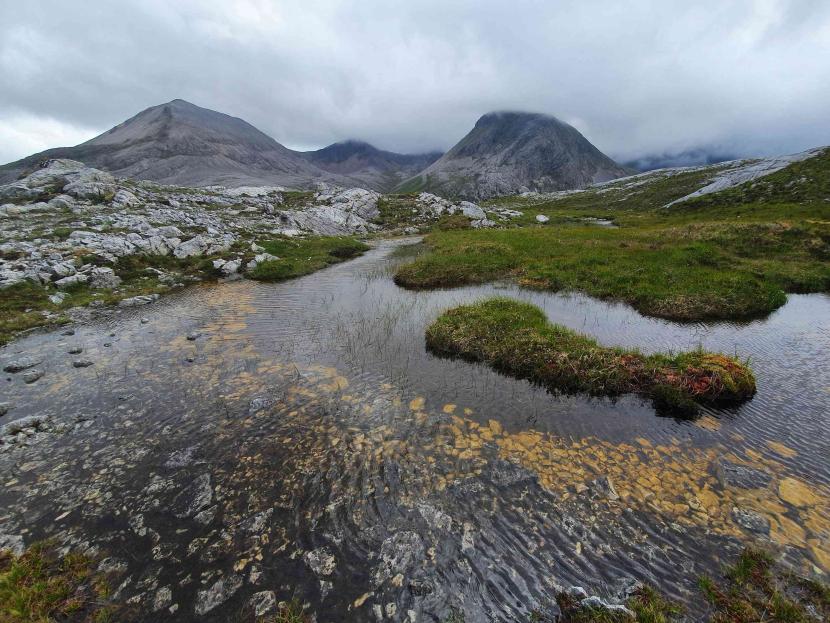 Mountain range in the background, with grass and rocks and a pool of water in the foreground.