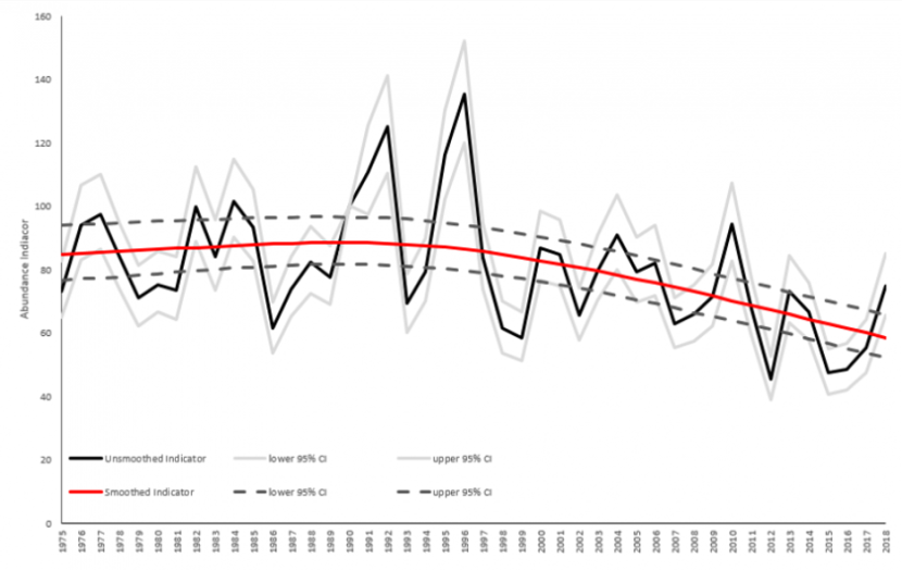 Graph showing changes in abundance of moths
