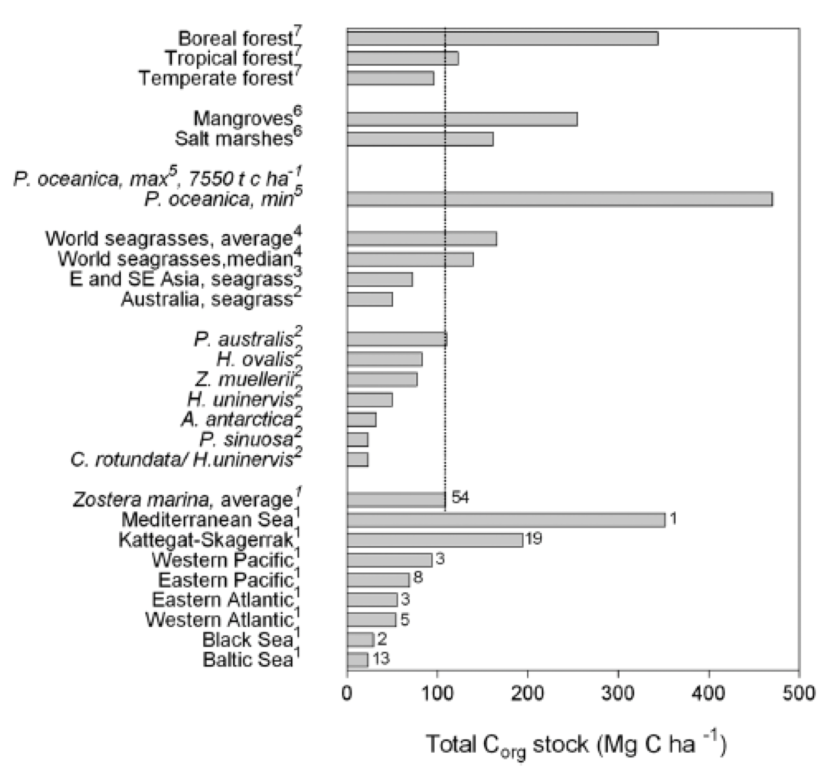 The total organic Carbon stock (Mg C/ha) in top 100 cm of soil in terrestrial and blue carbon ecosystems other seagrass species showing Zostera marina values roughly in the middle of the range of values.