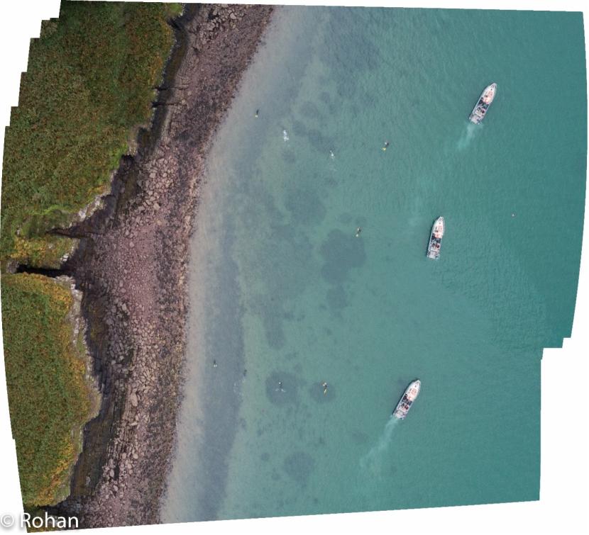Aerial image from drone using snorkelers to ground truth the image. Circular dark patches show Zostera marina beds.