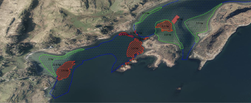 Satellite map of the northern part of the shore in Loch Craignish with polygons overlaid showing current seagrass bed areas as well as potential restoration and enhancement areas.