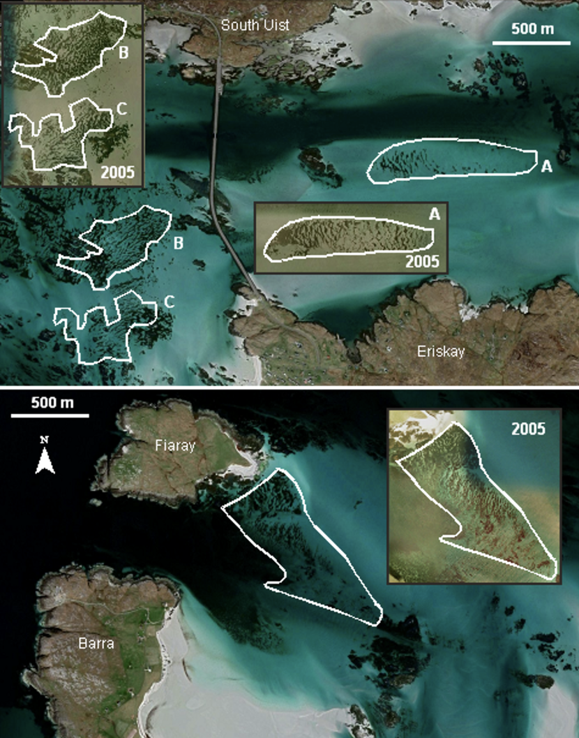 Satellite imagery of the Sound of Eriskay (upper) and Sound of Fiaray in the Outer Hebrides with 2017 seagrass delineated. Inset images of delineated seagrass beds from 2005 for comparison.